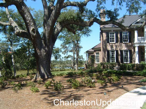 charleston-update (20)
