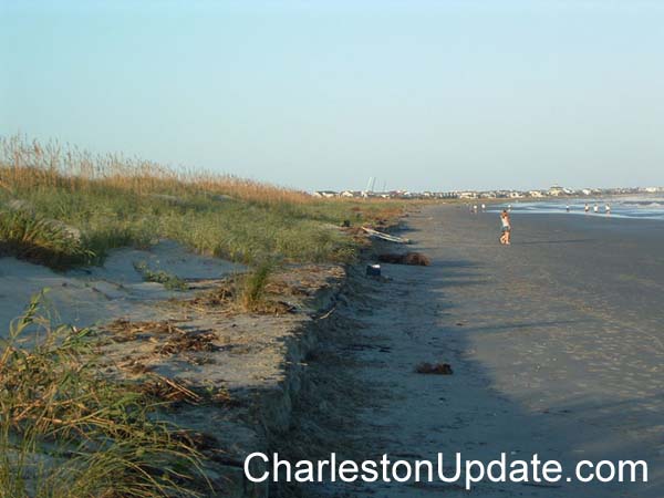 charleston-update (739)